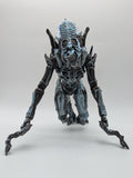 NECA 2020 Ultimate Alien Blue Rhino v2 - Loose (Complete)